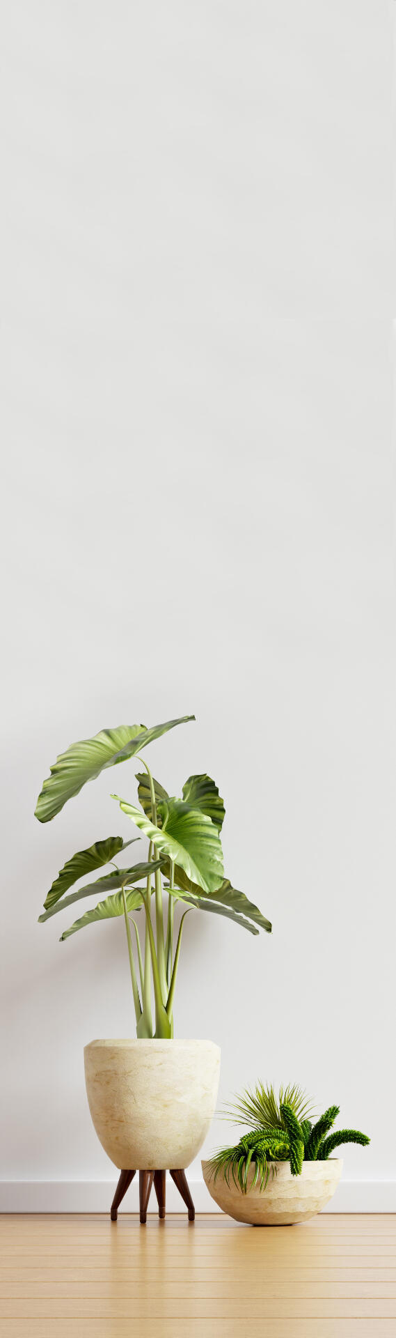 trilhaveg - programa nutricional